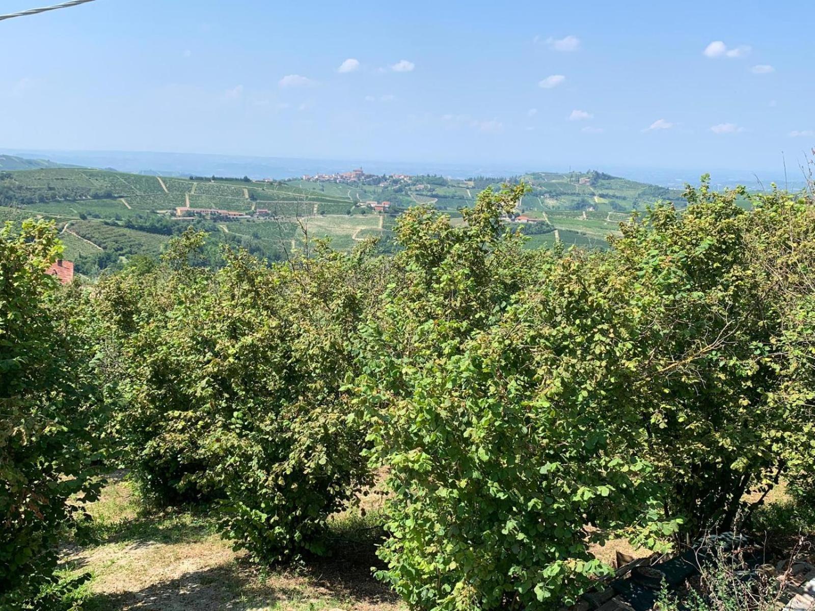 Agriturismo Cascina Anri Mango Εξωτερικό φωτογραφία