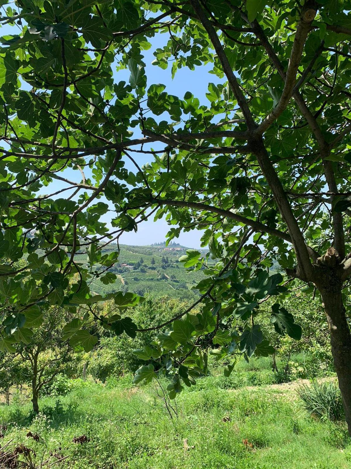Agriturismo Cascina Anri Mango Εξωτερικό φωτογραφία